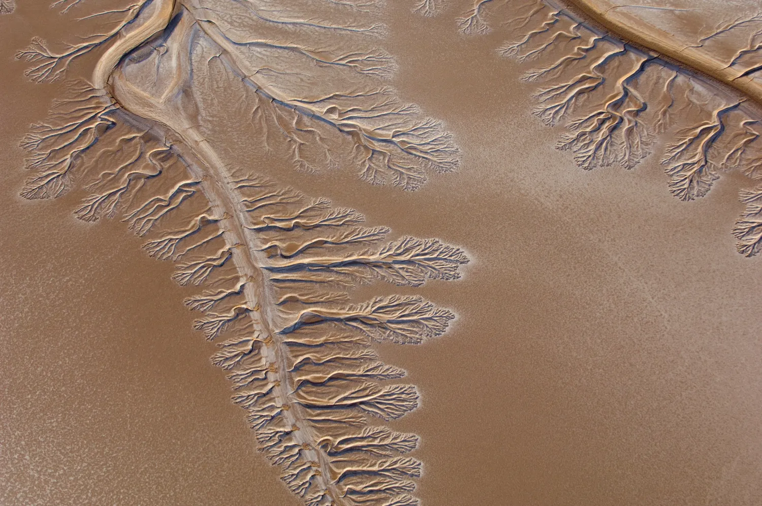 Colorado River Dry Delta