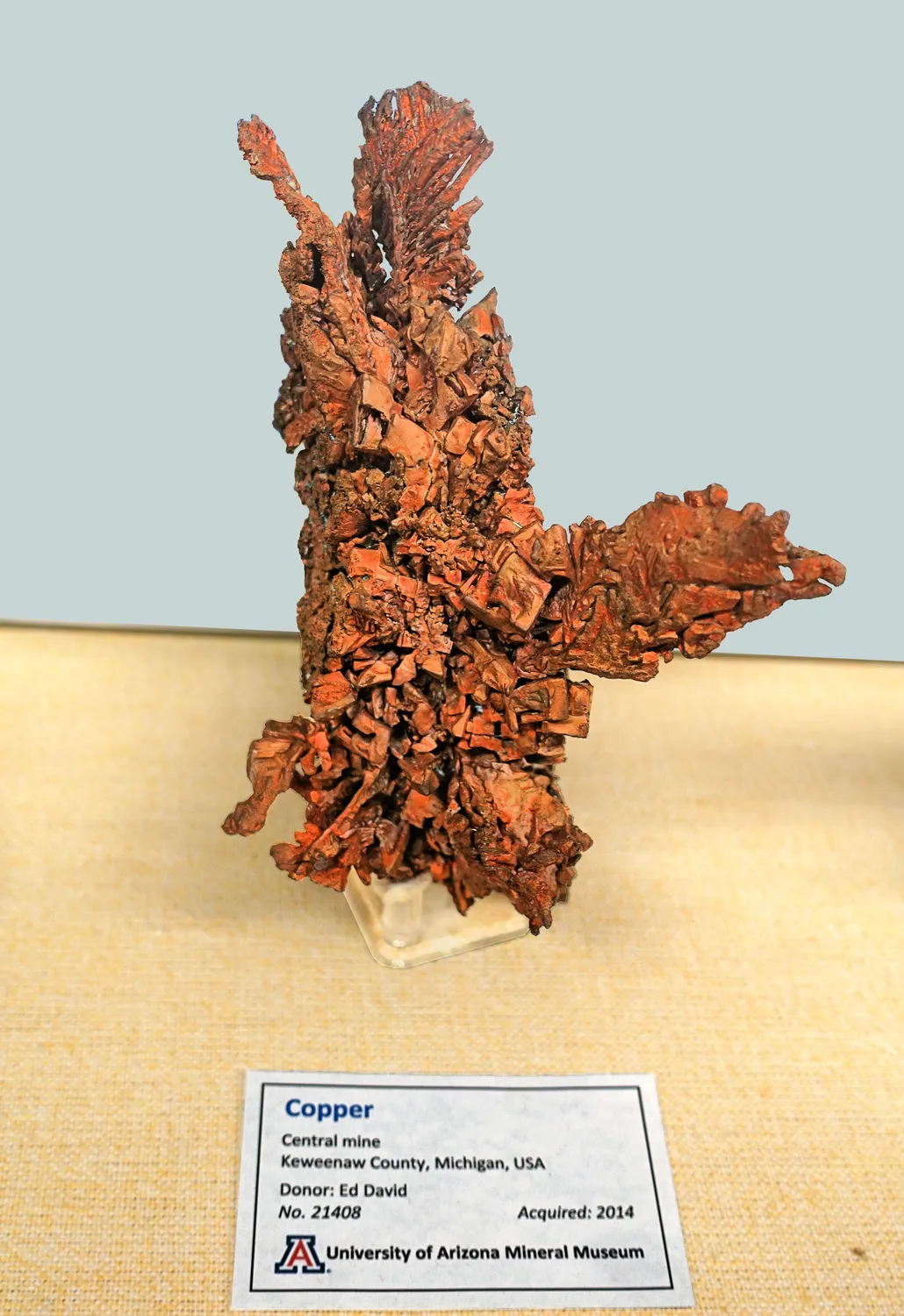 Copper, Central Mine, Keweenaw County, Michigan - Dr. Ed David Collection - University of Arizona Mineral Museum - University of Arizona - Tucson, AZ - cleanbackground