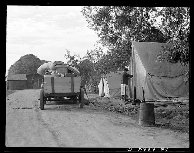 Cotton camp near Exeter, California. The woman is a native of California