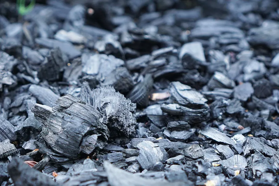 Close-up of fragmented black charcoal pieces resembling natural coal.