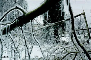 FEMA - 1008 - Photograph by John Ferguson taken on 01-25-1998 in New York