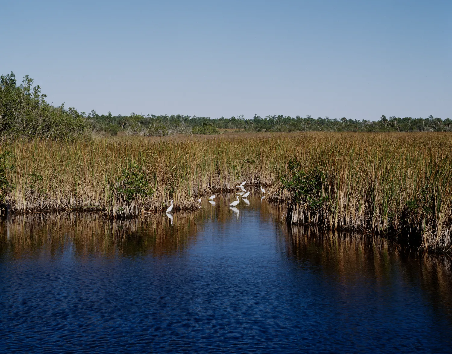 Florida Everglades LCCN2011630383
