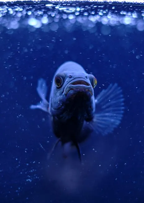Intimate view of an Oscar fish swimming underwater in a dimly lit aquarium.