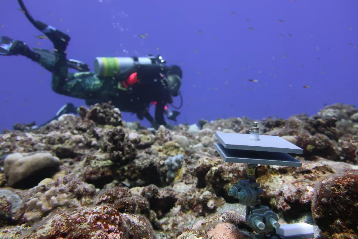 NOAA divers Calcification Accretion Unit Maug Island West 2022