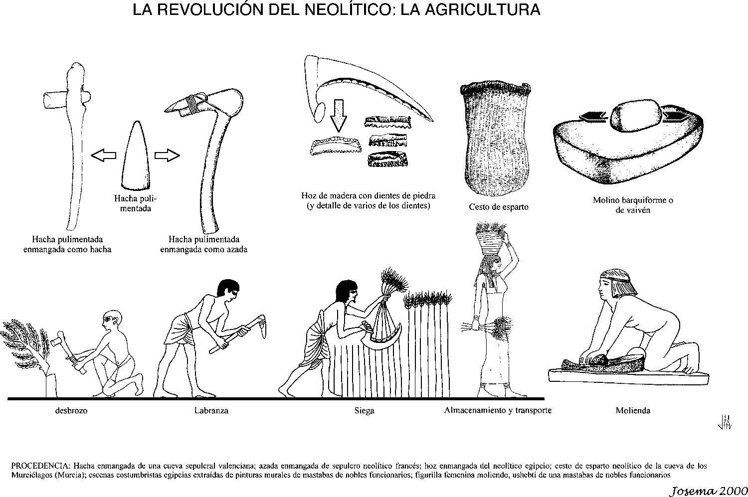 Neolitico-agricultura