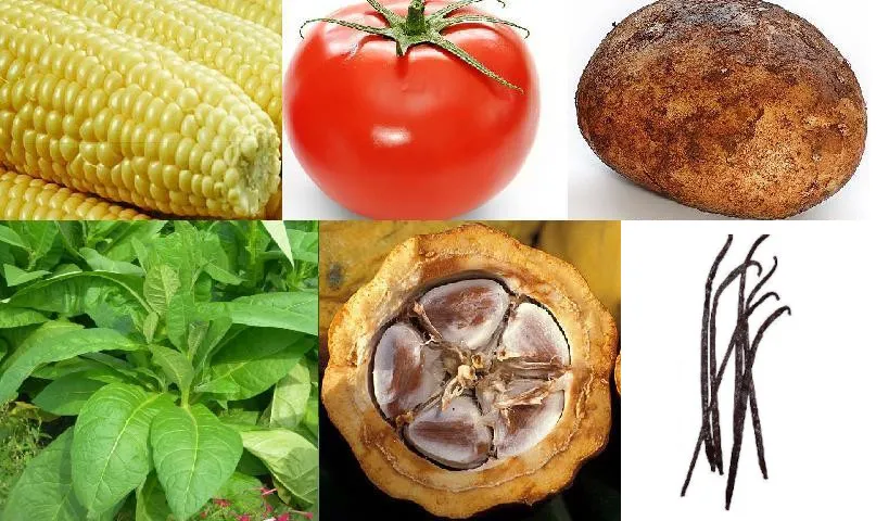 New World's main domesticated plants
