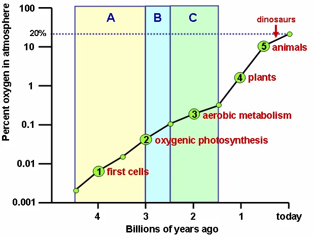 Oxygen atmosphere