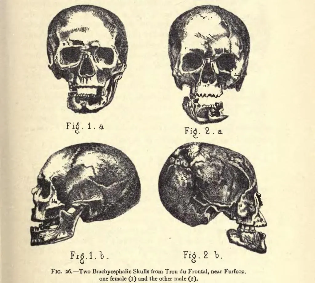 P.121-fig.26-Palæolithic Man and Terramara Settlements in Europe