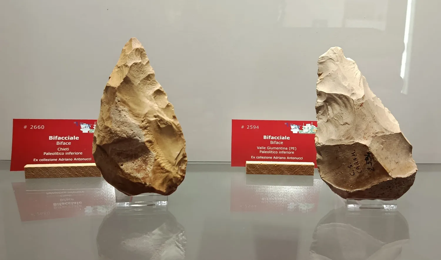 Paleolithic hand axes - Chieti Museum of Biomedical Sciences