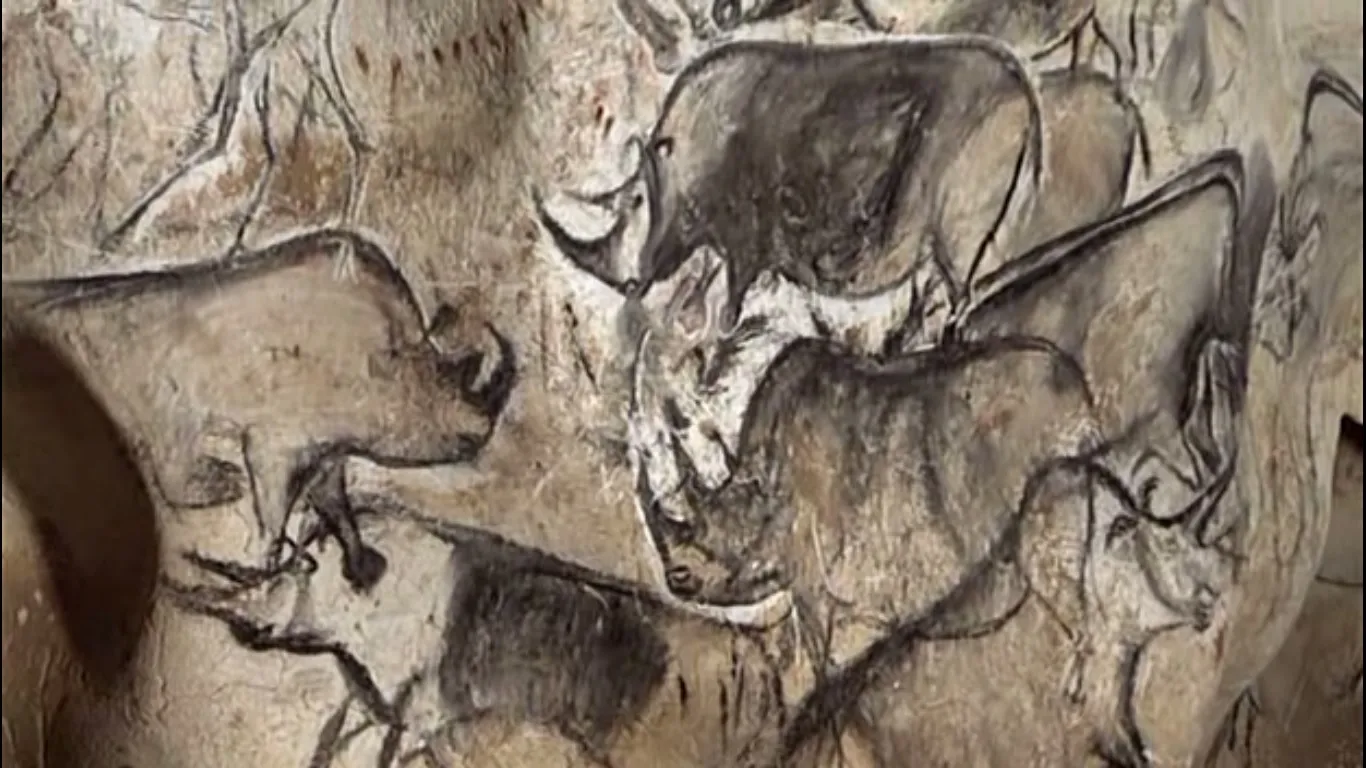 Rhinos Chauvet Cave