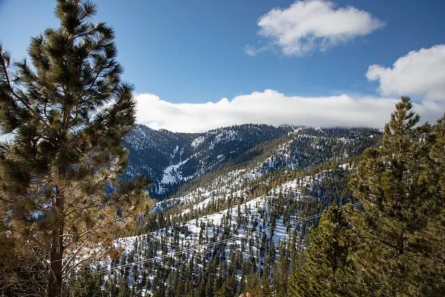 Scene in the Sierra Nevada Mountains, near the Nevada side of Lake Tahoe