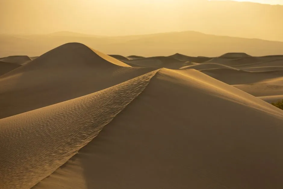 Serene landscape of sand dunes under warm golden light, showcasing the desert's natural beauty.