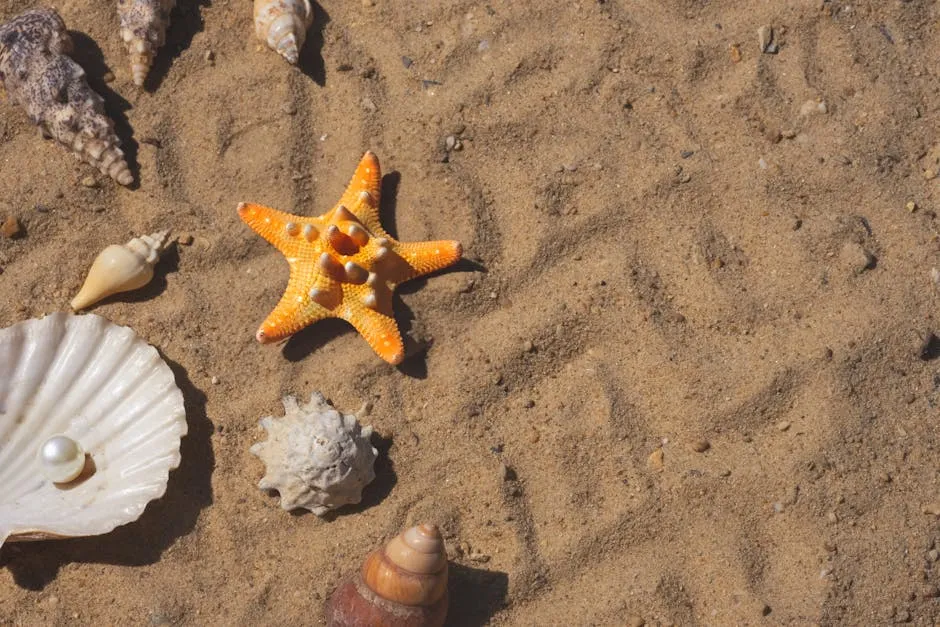 Starfish and assorted shells arranged on a sandy beach, capturing a summer seaside vibe.