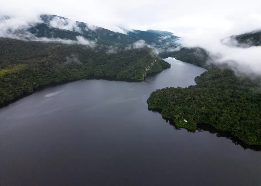 Stunning aerial shot of the Amazon River flowing through lush rainforest in Amazonas, Peru.