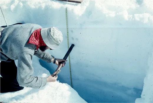 Taku glacier firn ice sampling