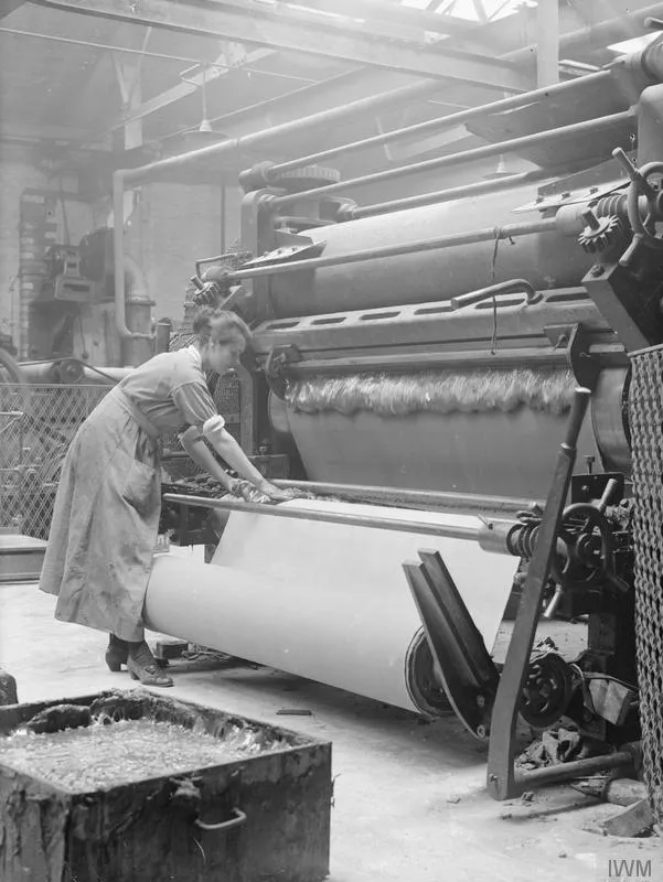 The Employment of Women in Britain, 1914-1918 Q28230