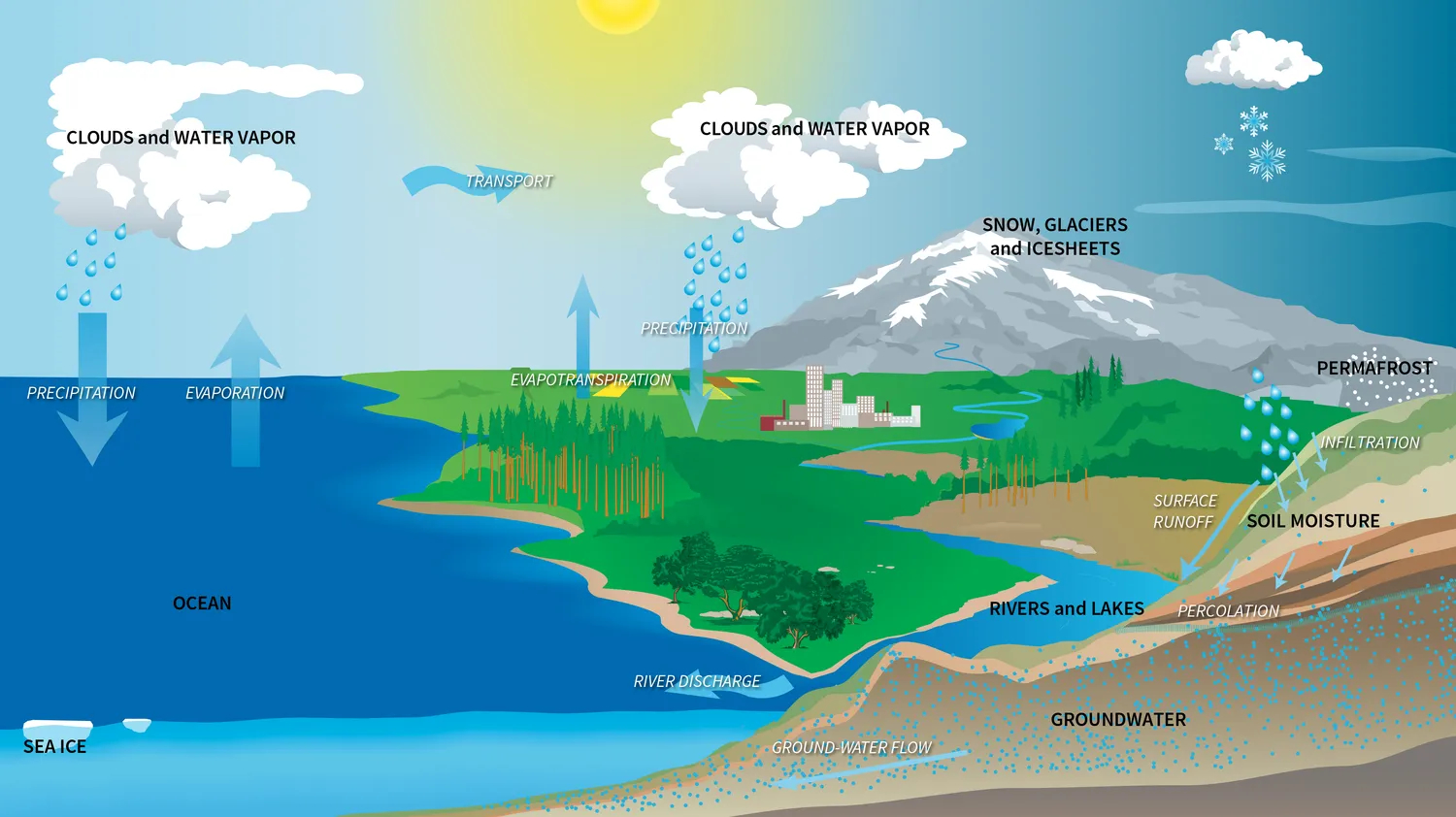 The Water Cycle (SVS30580)