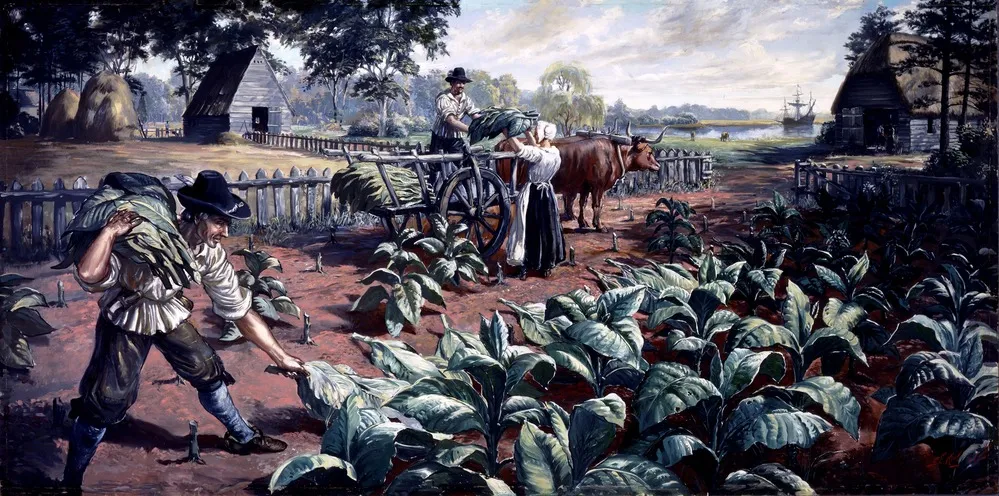 Tobacco Farming