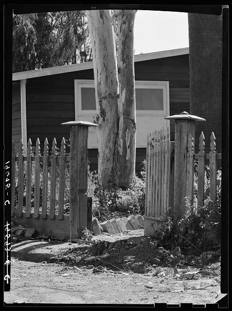 Tulare County, California. Farm Security Administration (FSA) Mineral King Farm Cooperative Association. The gateway to the old ranch remains. But the old ranch house is replaced. (See 18368)