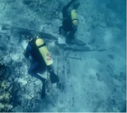 Underwater Archaeologists, 19th Century Shipwreck