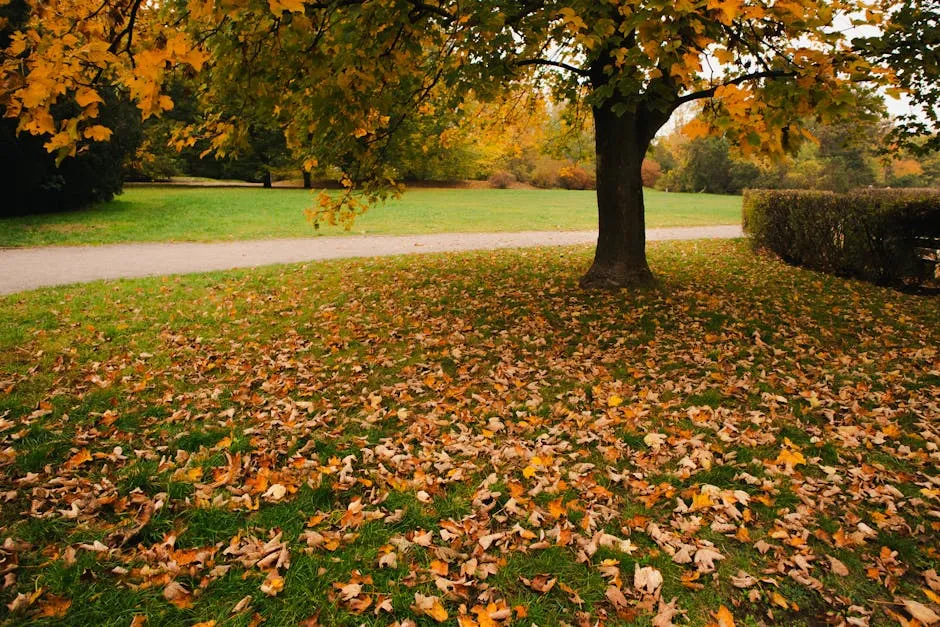 Vibrant autumn scenery in a Gdynia park with fallen leaves under a tree.