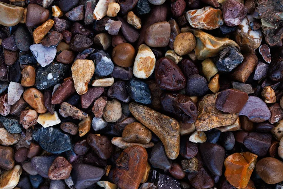 Vibrant close-up of diverse river rocks showcasing various textures and colors.