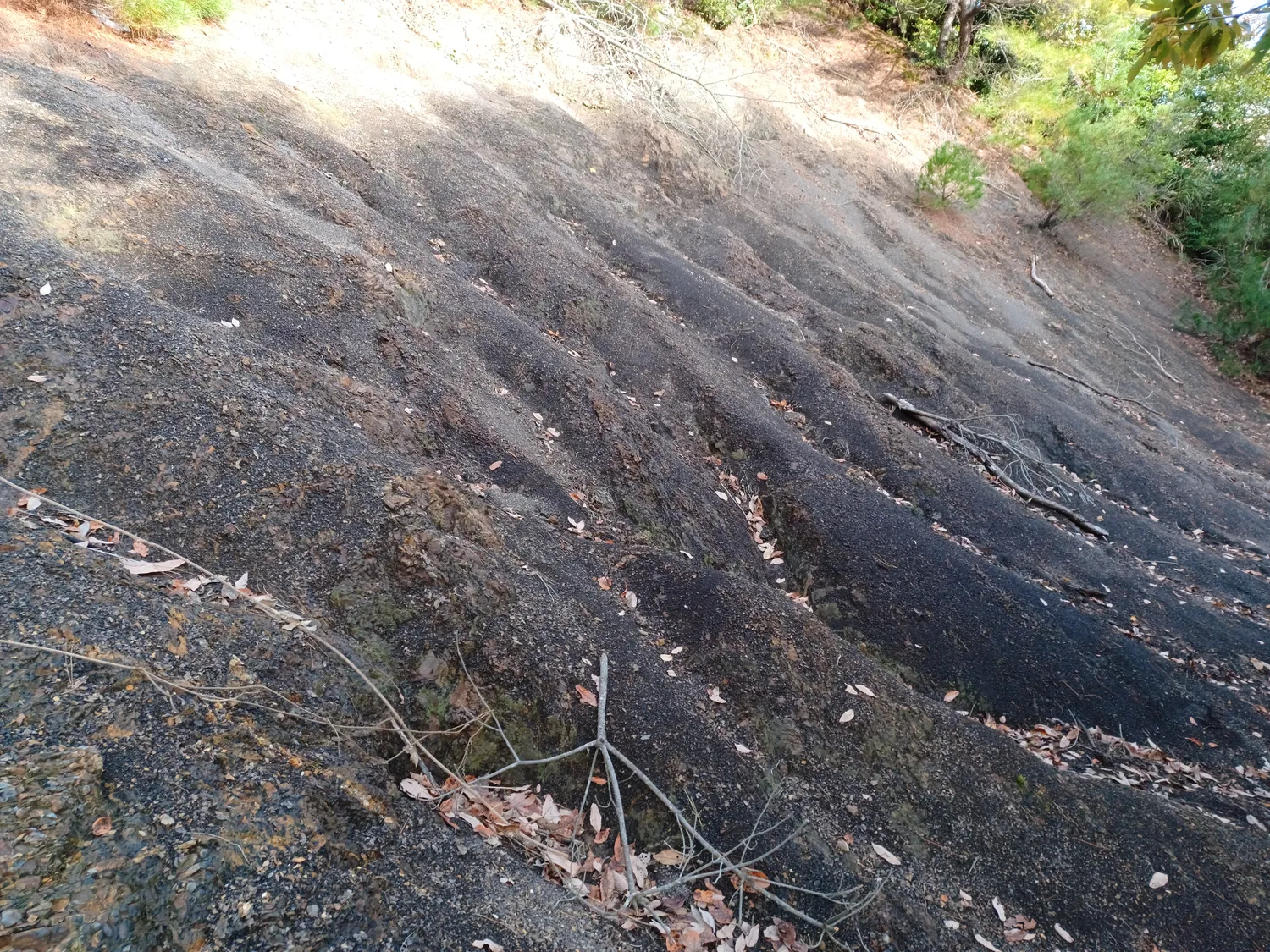 Weathering patterns of mudstone in the Jōsōji Formation-7