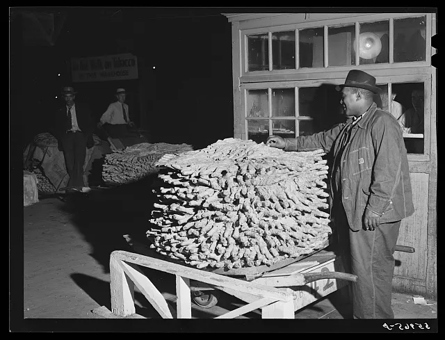 Weighing-in tobacco on scales in warehouse in Danville, Virginia, where many Caswell County farmers sell their tobacco at auction. North Carolina