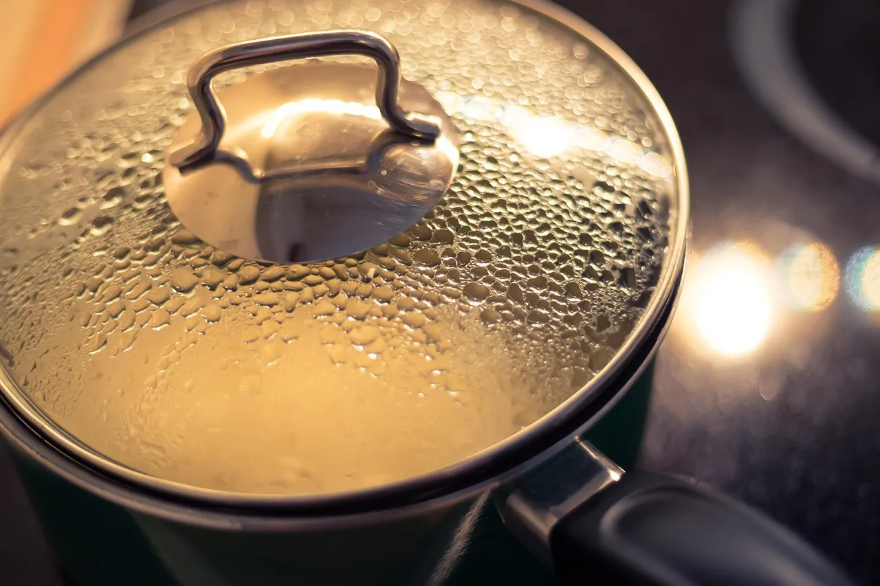 cooking, pot, risotto, kitchen, food, nature, cook, nutrition, eat, stove, rice, steam, boil, closeup, close-up, casserole, mist, heat, boiling, water, hot, droplets