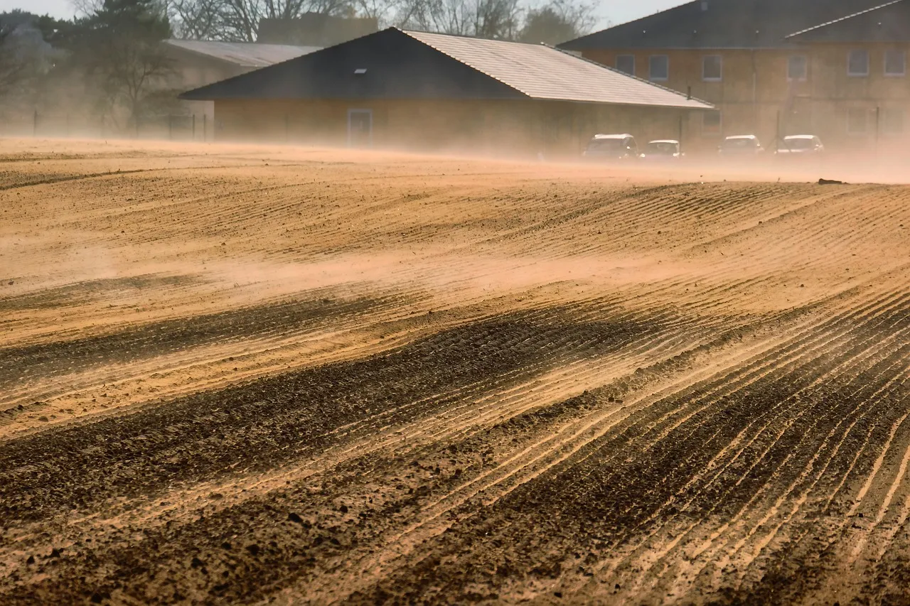 sandstorm, sand, wind, drifts, dust, fields, agriculture, nature, sense, stir up, sun, move