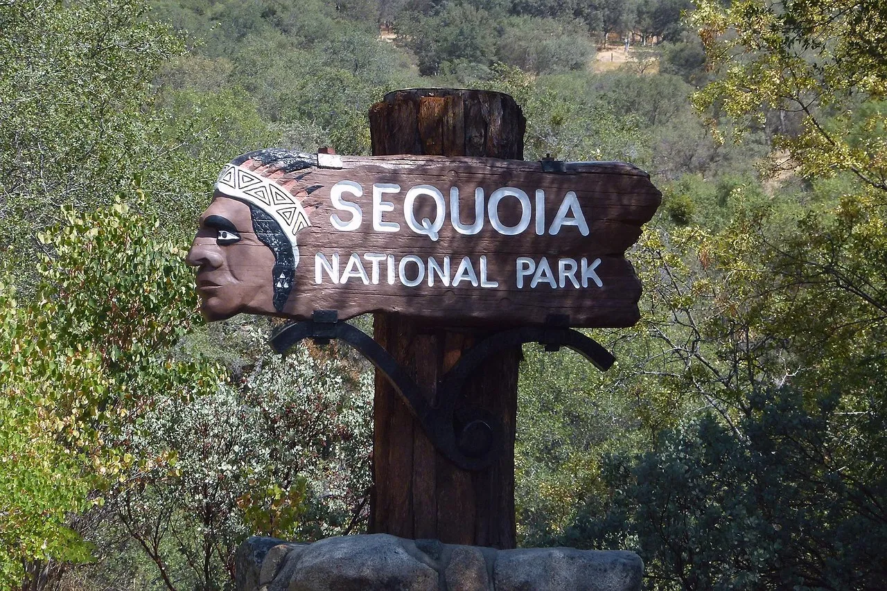 signage, board, signboard, wooden, sequoia national park, california, usa, signboard, signboard, sequoia national park, sequoia national park, sequoia national park, sequoia national park, sequoia national park