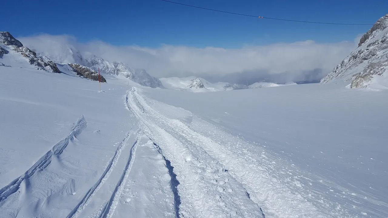 winter, snow, ice age, nature, cold, wintry, mystical