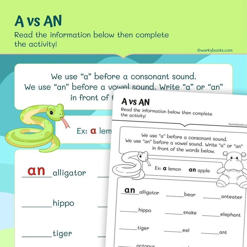 A vs AN—Determiners — ela worksheet for Grade 1, page 1 of 3