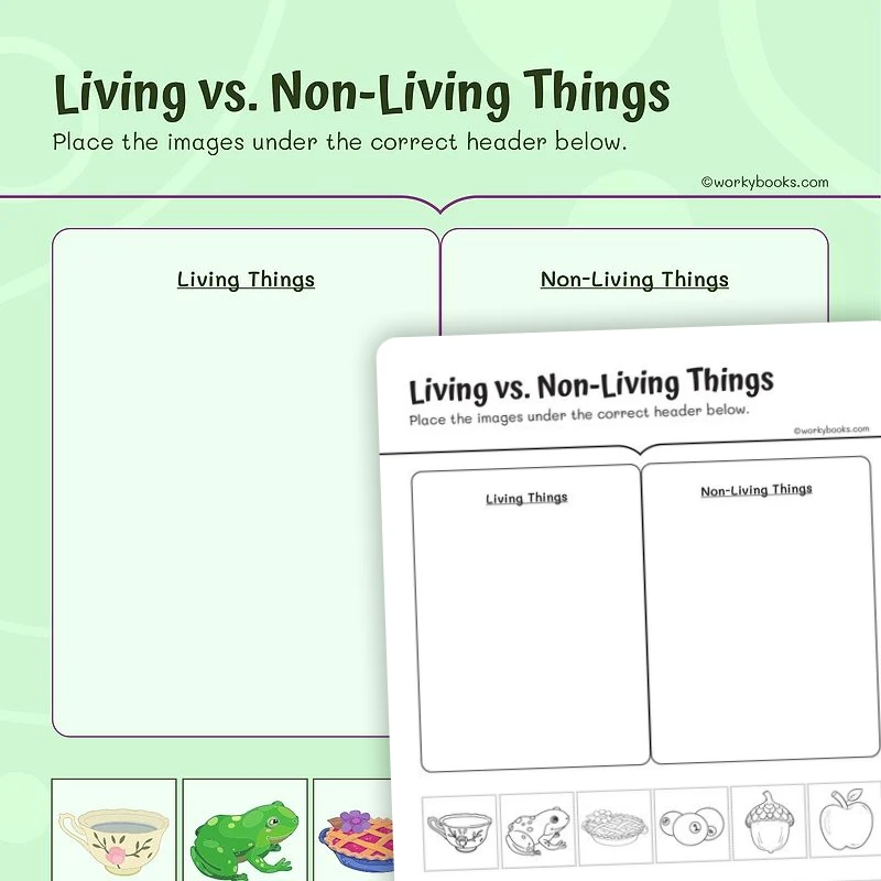 Vocabulary—Living vs Nonliving Things — ela worksheet for Grade 1, page 1 of 3