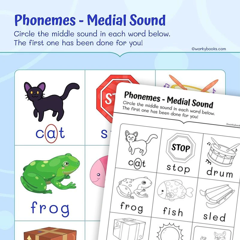 Phonemes—Medial Sound — ela worksheet for Grade 1, page 1 of 3