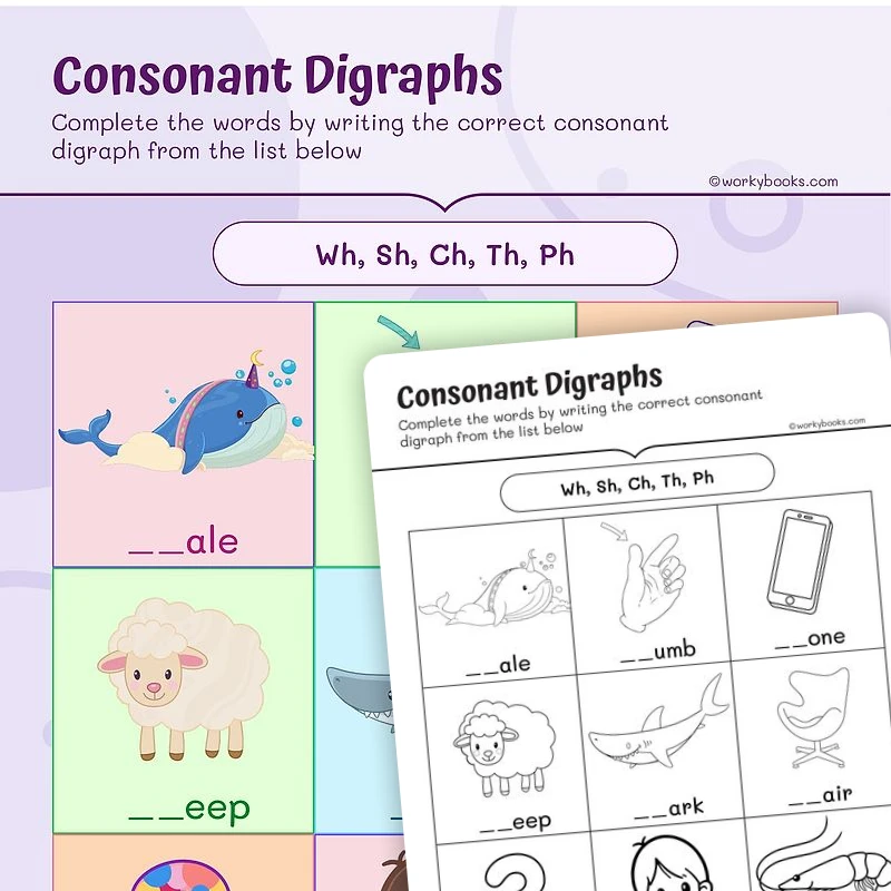 Consonant Digraphs — ela worksheet for Grade 1, page 1 of 3