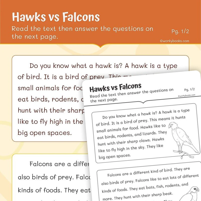 Hawks vs Falcons—Compare and Contrast — ela worksheet for Grade 1, page 1 of 3