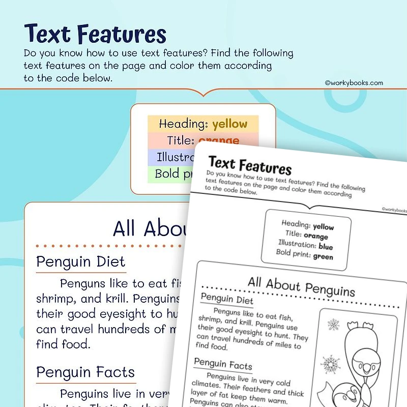 Text Features — ela worksheet for Grade 1, page 1 of 3