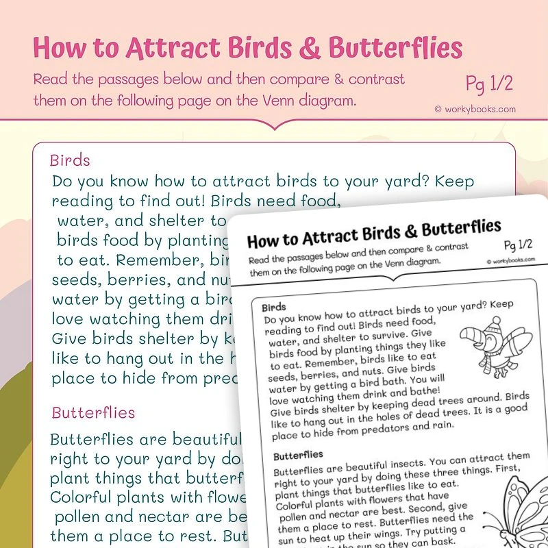 Compare and Contrast How to Attract Birds & Butterflies — ela worksheet for Grade 1, page 1 of 3