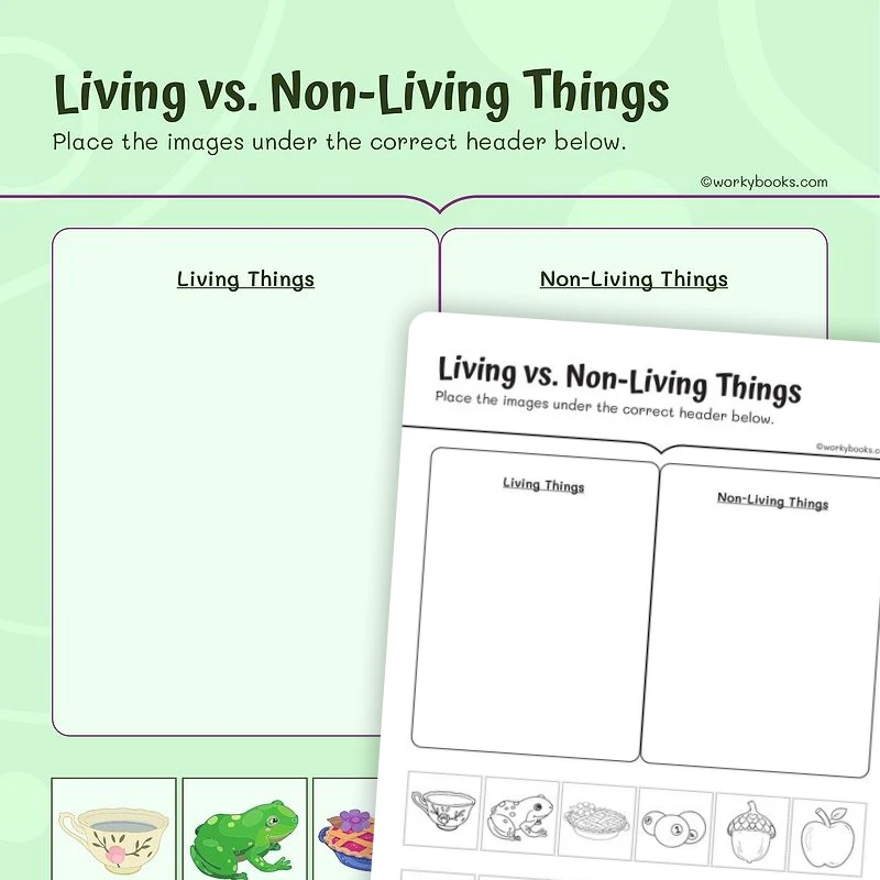 Comparing Living vs Nonliving Things — ela worksheet for Grade 1, page 1 of 3