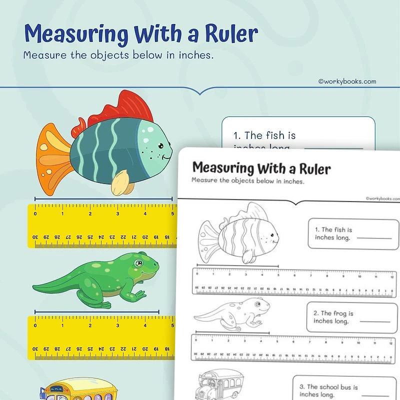 Measuring With a Ruler — math worksheet for Grade 2, page 1 of 3