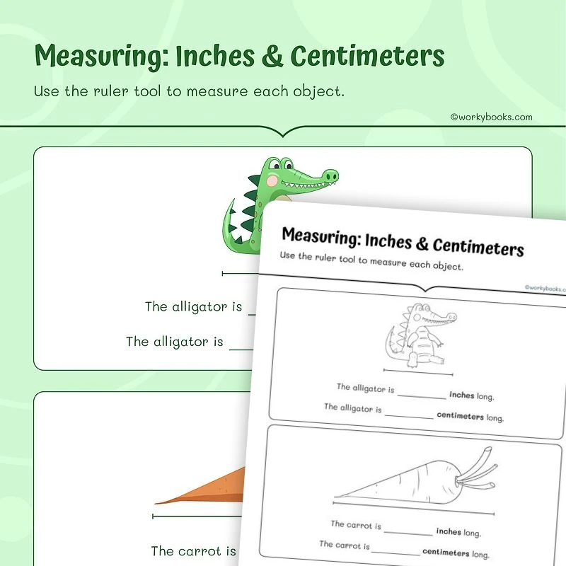 Measuring: Inches & Centimeters — math worksheet for Grade 2, page 1 of 3