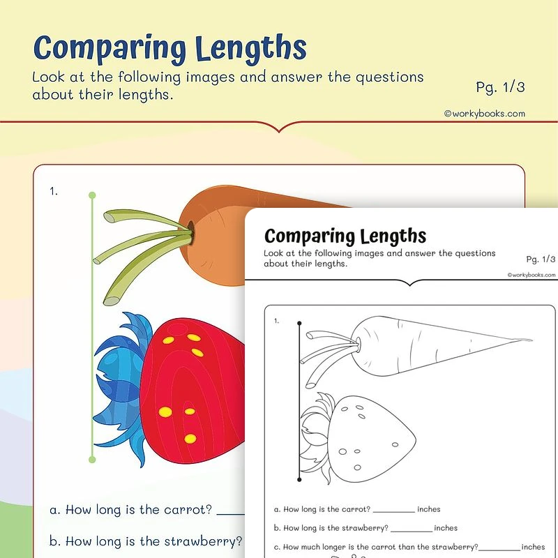 Measurement—Comparing lengths — math worksheet for Grade 2, page 1 of 3