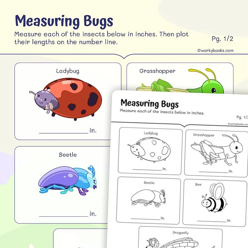Measuring Bugs — math worksheet for Grade 2, page 1 of 3