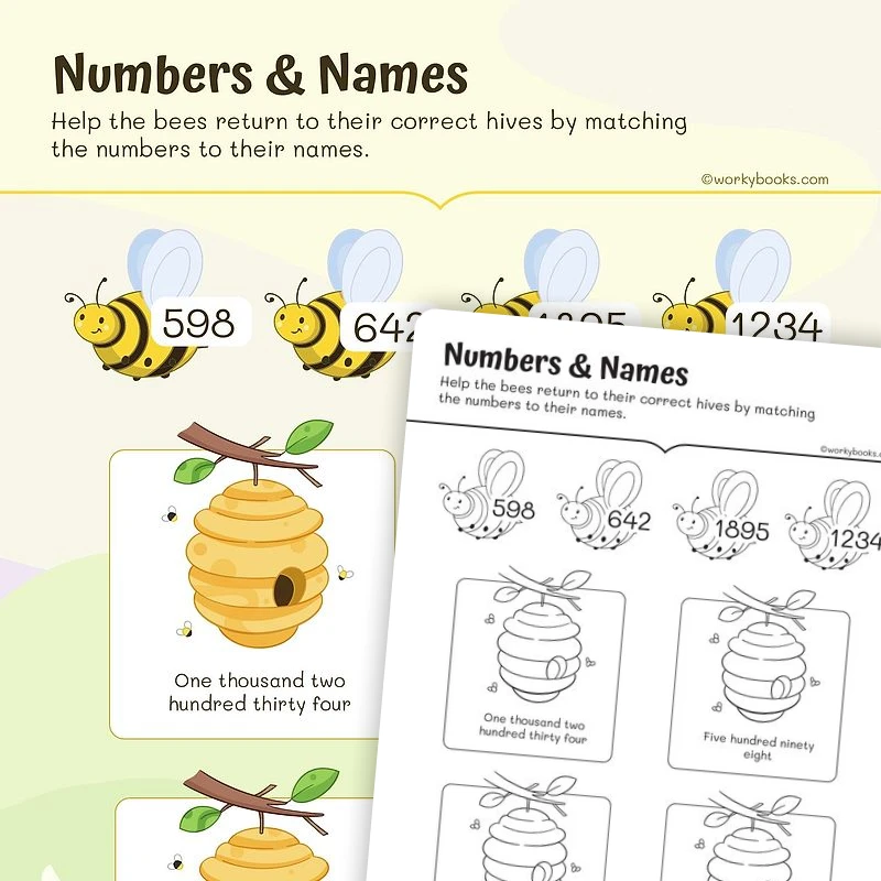 Writing Numbers & Names — math worksheet for Grade 2, page 1 of 3
