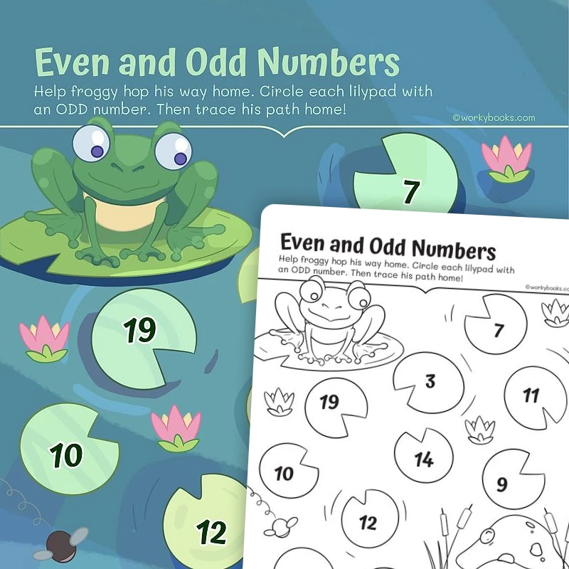 Even and Odd Numbers — math worksheet for Grade 2, page 1 of 3