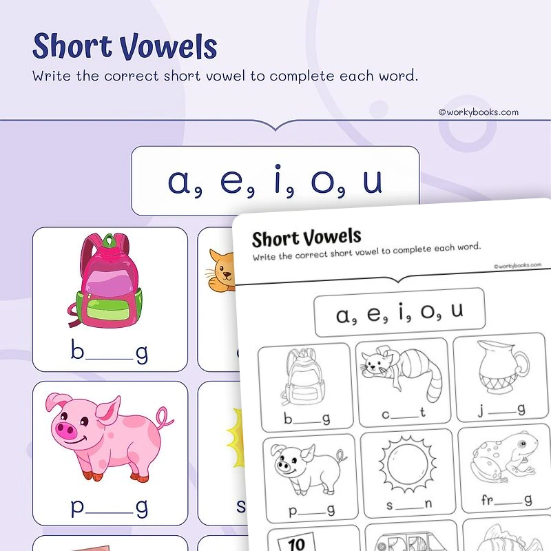 Phonics—Short Vowels — ela worksheet for Grade 2, page 1 of 3