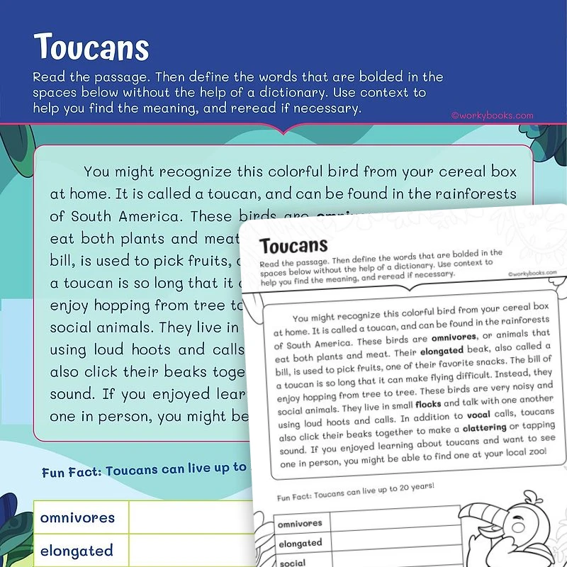 Context Clues Toucans — ela worksheet for Grade 2, page 1 of 3