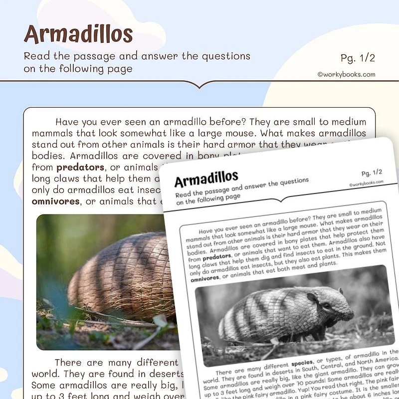 Informational Text — Armadillos — ela worksheet for Grade 2, page 1 of 3