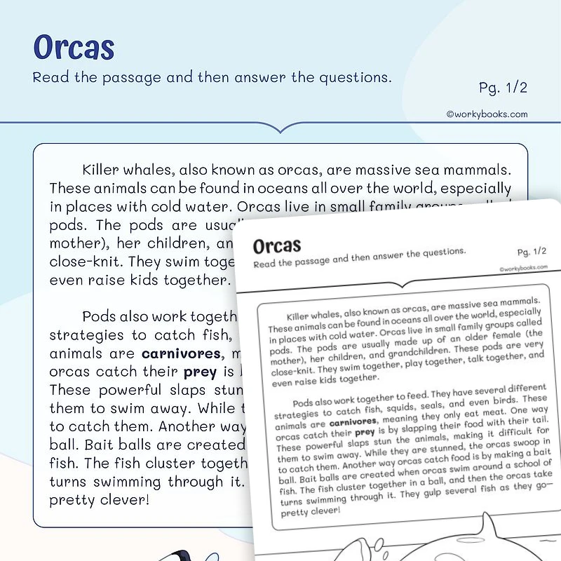 Reading for Main Details—Orcas — ela worksheet for Grade 2, page 1 of 3